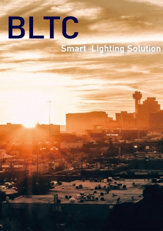 Beautiful Light Technology Corp.